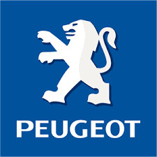 Peugeot Oto Yedek Parçaları
